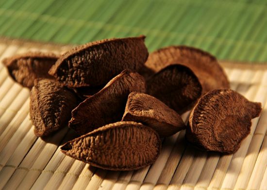 EFEITO EL NIÑO -  Cientistas sugerem estratégias de adaptação para a castanha-da-amazônia
